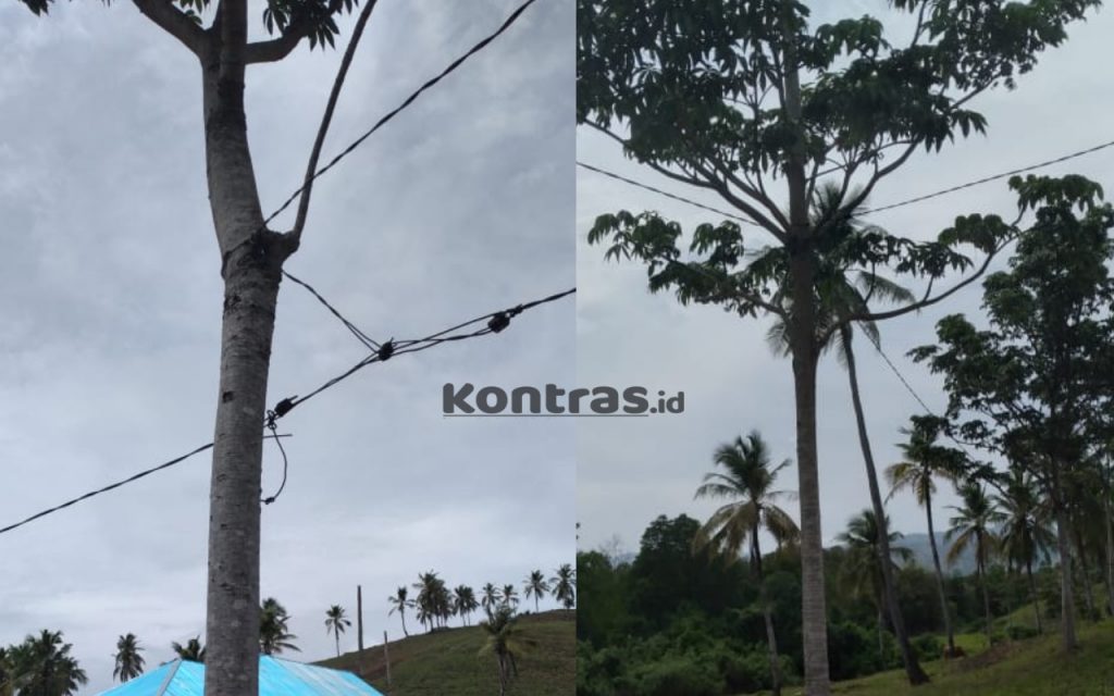 Risau Keselamatan Warga, Kades Langge Sesalkan Sikap Acuh PLN Gorut
