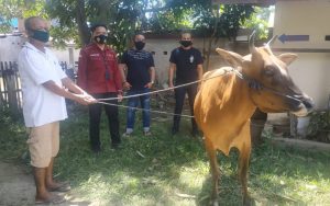 Polres Gorontalo Bekuk Pelaku Pencurian Ternak Sapi di Telaga Biru