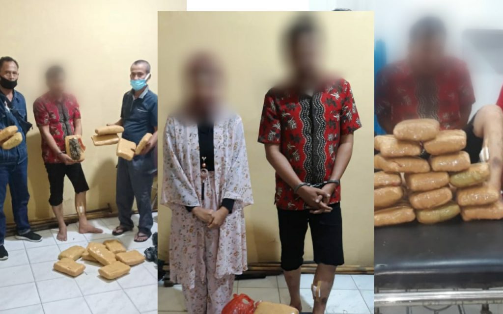 Ketahuan Bawa 14,2 Kg Ganja Kering, Pasturi Ini Terciduk Polisi