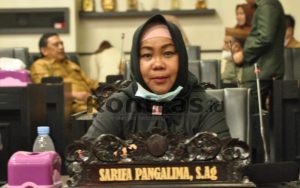 Dinilai Tak Ada Hasil Untuk Daerah, Nasdem Soroti Penyertaan Modal BUMD