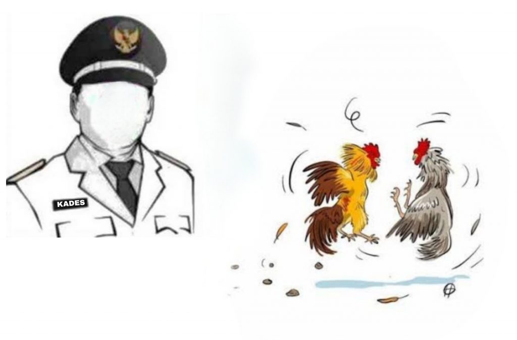 Oknum Kades Di Taluditi Diduga Kerap Main Sabung Ayam
