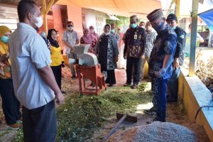 Olah Limbah Jagung Jadi Pakan Ternak, Bupati Saipul : Mendukung Berbagai Inovasi