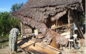Gajah Liar Obrak-abrik Rumah Warga Nagan Raya Aceh