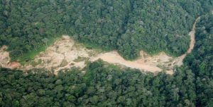 Soal Tambang Ilegal Dengilo, Sjamsuddin : 12 Alat Beroperasi di CA Langge