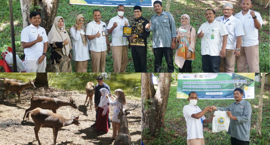 Jaga Keanekaragaman Hayati, PT PIM Aceh Edukasi Konservasi Penakaran Rusa