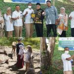 PT PIM