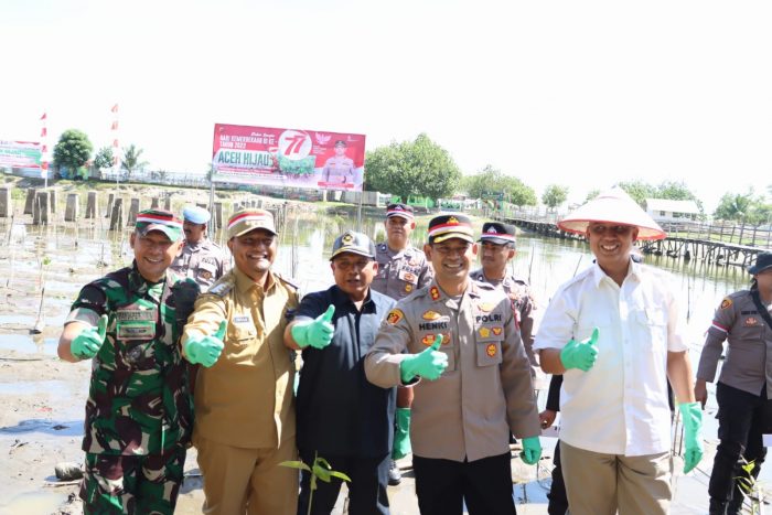 Tanam pohon