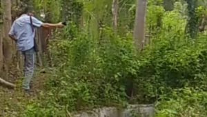 Miris!! Tak Ada Konfirmasi Ke Pemilik Lahan, Diduga Pemdes Buntulia Utara Berani Bangun Drainase