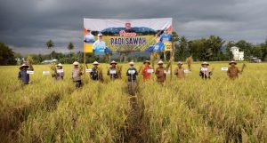 Merlan Uloli Ajak Petani Bonbol Terapkan Tiga Kali Panen Setahun