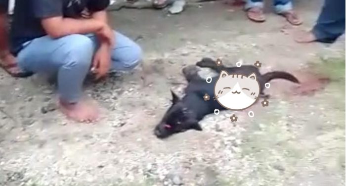 Kecamatan Tabongo