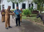 Idul Adha 1445 H, BKAD Kabupaten Gorontalo Serahkan Sapi Kurban