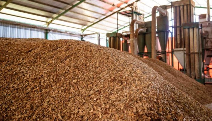 Dugaan Ekspor Wood Pellet Ilegal di Pohuwato Viral, BEM Warning Pemda Gorontalo Utara