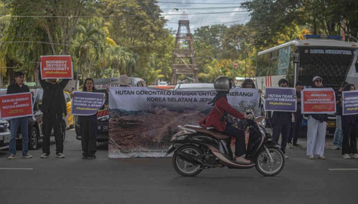 Proyek Biomassa di Pohuwato: Ancaman Nyata Bagi Hutan dan Masyarakat