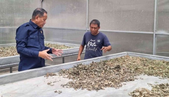 Tinjau IKM Nilam di Bonebol, Wakil Ketua DPRD Diskusi Bersama Petani