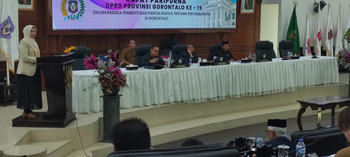 pansus pertambangan