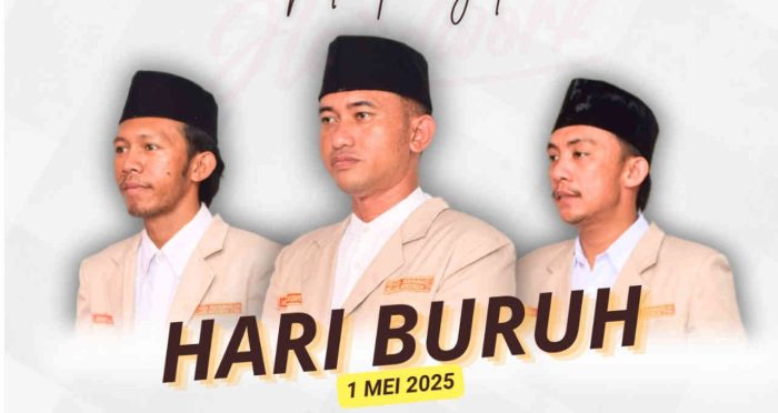 DPDM Bolmut