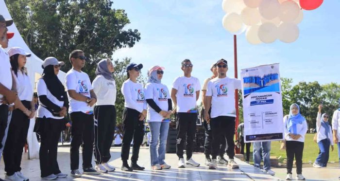 HUT Bolmut