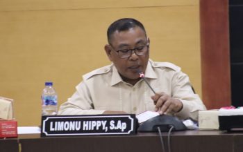 Limonu Hippy