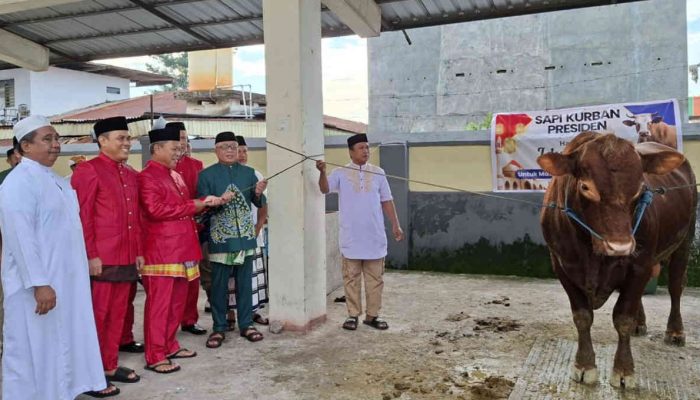 Bupati Gorontalo Serahkan Hewan Qurban Banpres ke Masjid Agung
