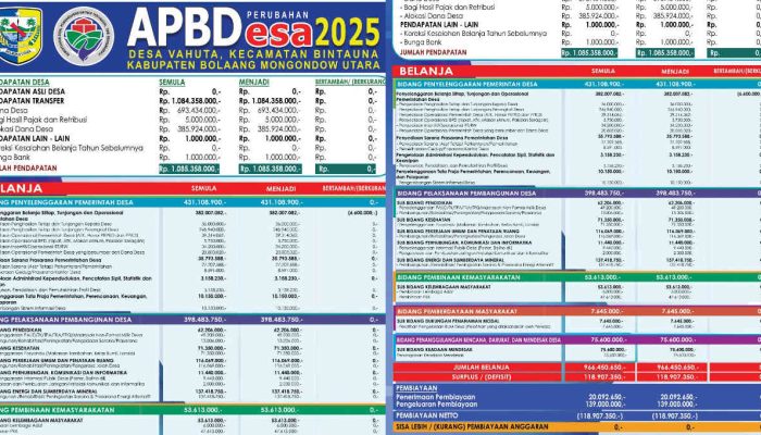 APBDes Perubahan Desa Vahuta 2025, Transparansi Realokasi Anggaran untuk Pembangunan