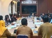 RSUD Ainun Habibie