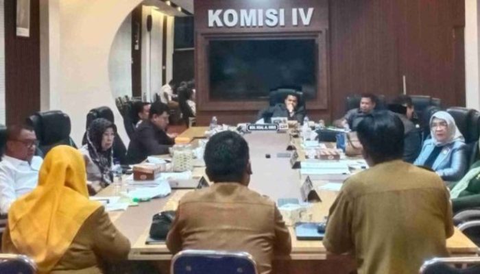Komisi IV Soroti Rendahnya Serapan Anggaran RSUD Ainun Habibie