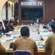 RSUD Ainun Habibie