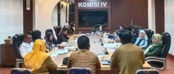 RSUD Ainun Habibie