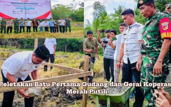 Bupati Bolmut