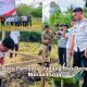 Bupati Bolmut