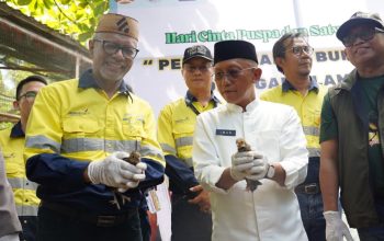 Burung Maleo Pohuwato