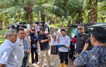 KPK dan Komisi I Deprov Gorontalo Tinjau Lahan Sawit, Dengar Keluhan Petani Plasma