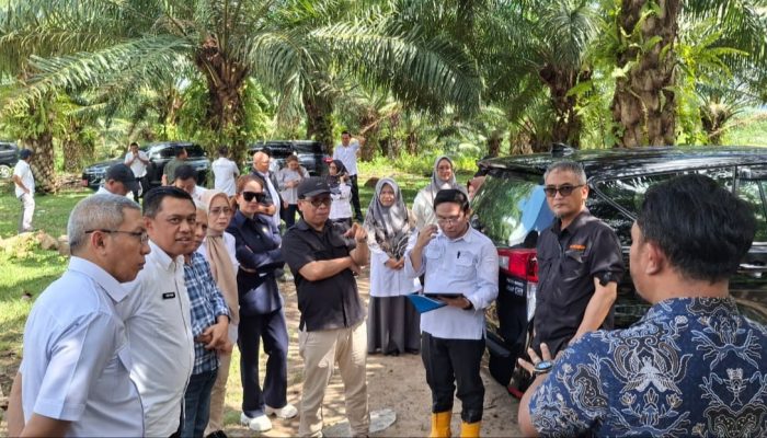 KPK dan Komisi I Deprov Gorontalo Tinjau Lahan Sawit, Dengar Keluhan Petani Plasma
