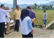 Irigasi Bongo Hulawa