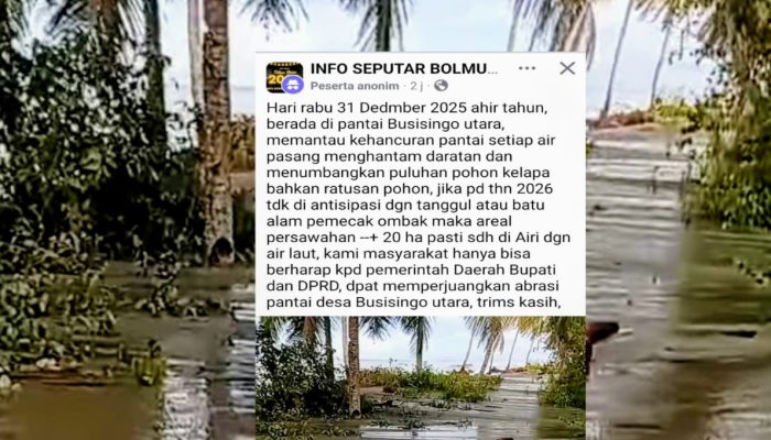 Abrasi Pantai Busisingo Utara Bolmut Ancam Lahan Pertanian Warga