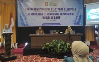 Wagub Gorontalo Soroti Tingginya Angka Kematian Ibu dan Anak, Dorong Penguatan Standarisasi Layanan KIA