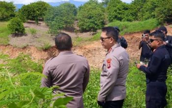 PETI Bulangita, Teratai dan Hutino Masih Beroperasi, Instruksi Kapolda Dipertanyakan