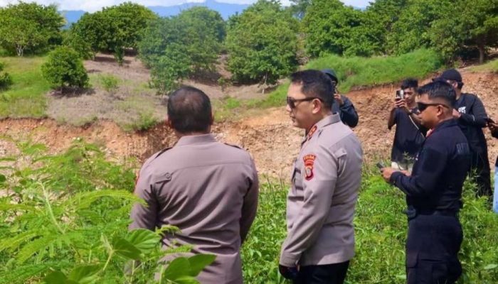 PETI Bulangita, Teratai dan Hutino Masih Beroperasi, Instruksi Kapolda Dipertanyakan