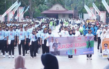 HUT Boltara