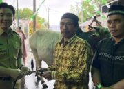 Presiden Kirim Hewan Kurban, Warga Sangihe Terima Berkah