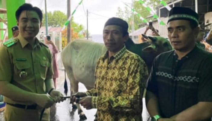 Presiden Kirim Hewan Kurban, Warga Sangihe Terima Berkah