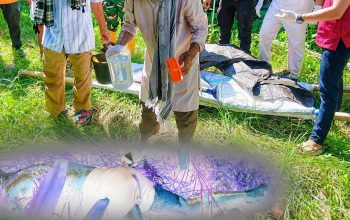 Hidup Sebatang Kara, Lansia di Busisingo Utara Boltara Ditemukan Tak Bernyawa