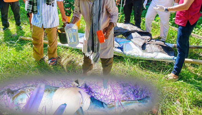 Hidup Sebatang Kara, Lansia di Busisingo Utara Boltara Ditemukan Tak Bernyawa