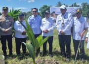 Perkuat Program Hilirisasi Perkebunan di Kabupaten Gorontalo, Sofyan Puhi Pimpin Tanam Serentak