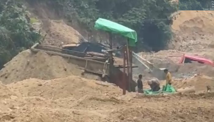 Enam Ekskavator Diduga Mulai Garap Cagar Alam Panua di Desa Balayo, Aparat Kemana?