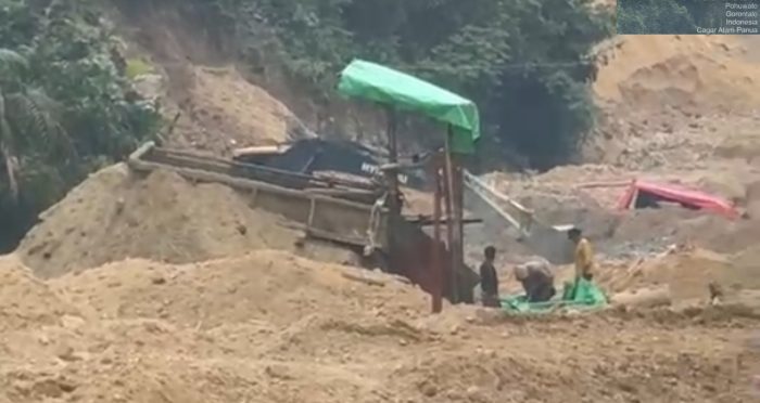 CA Panua Pohuwato