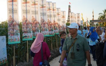 Jagung Bayer Curi Panggung Saat PENAS XVII 2026 di Kabupaten Gorontalo Dibuka