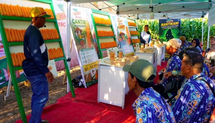 Jagung Gorontalo Bidik Swasembada Nasional, Gusnar Ismail Dorong Inovasi Bayer