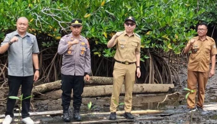 Bupati Sangihe Tanam Mangrove, Teluk Talengen Jadi Simbol Perlawanan Abrasi Pesisir