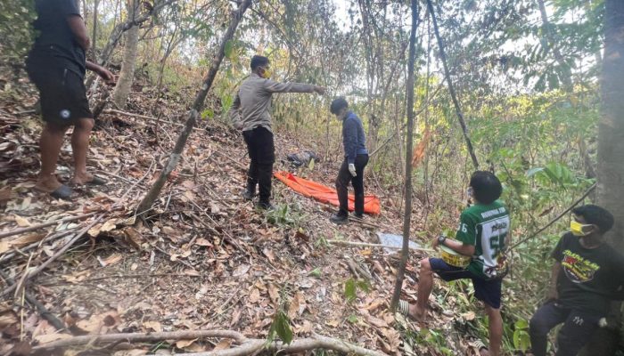 Dicari Berhari-hari, Bau Busuk Bongkar Misteri Hilangnya Androl di Perkebunan Perindu Boltara